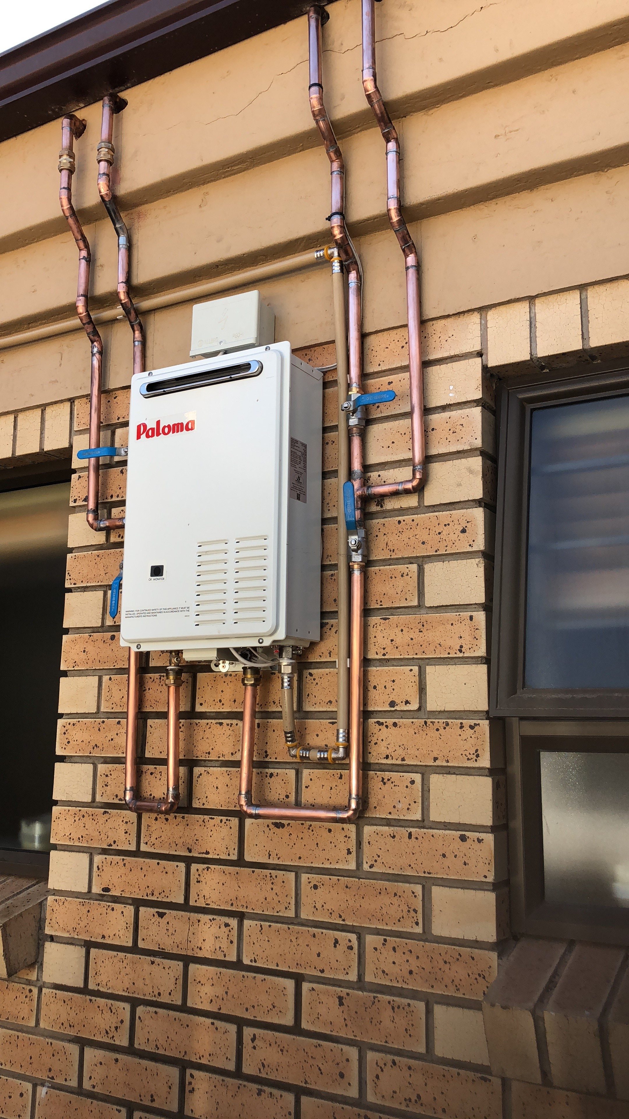 Paloma-Installation-e1635838909912